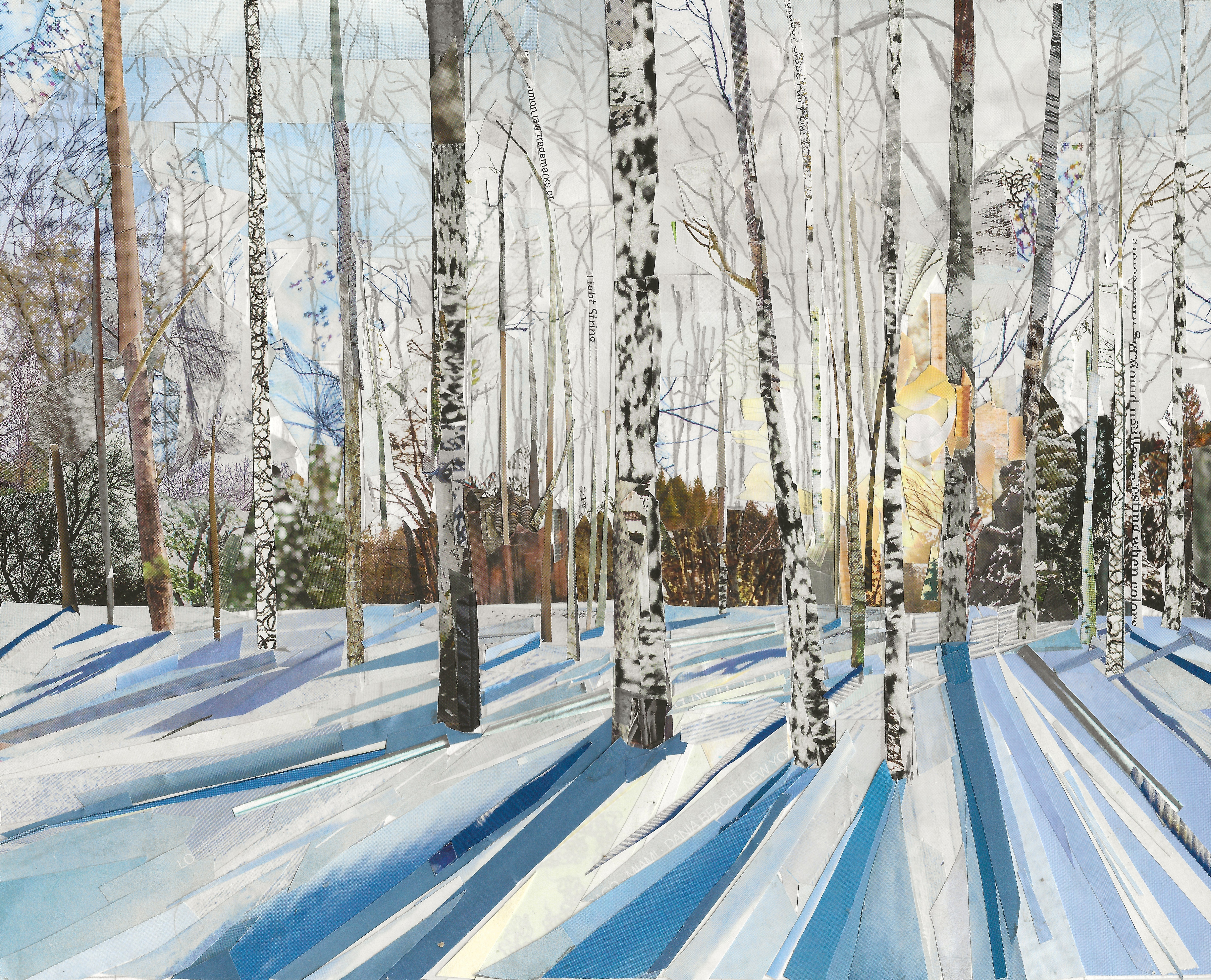 Winter Birches