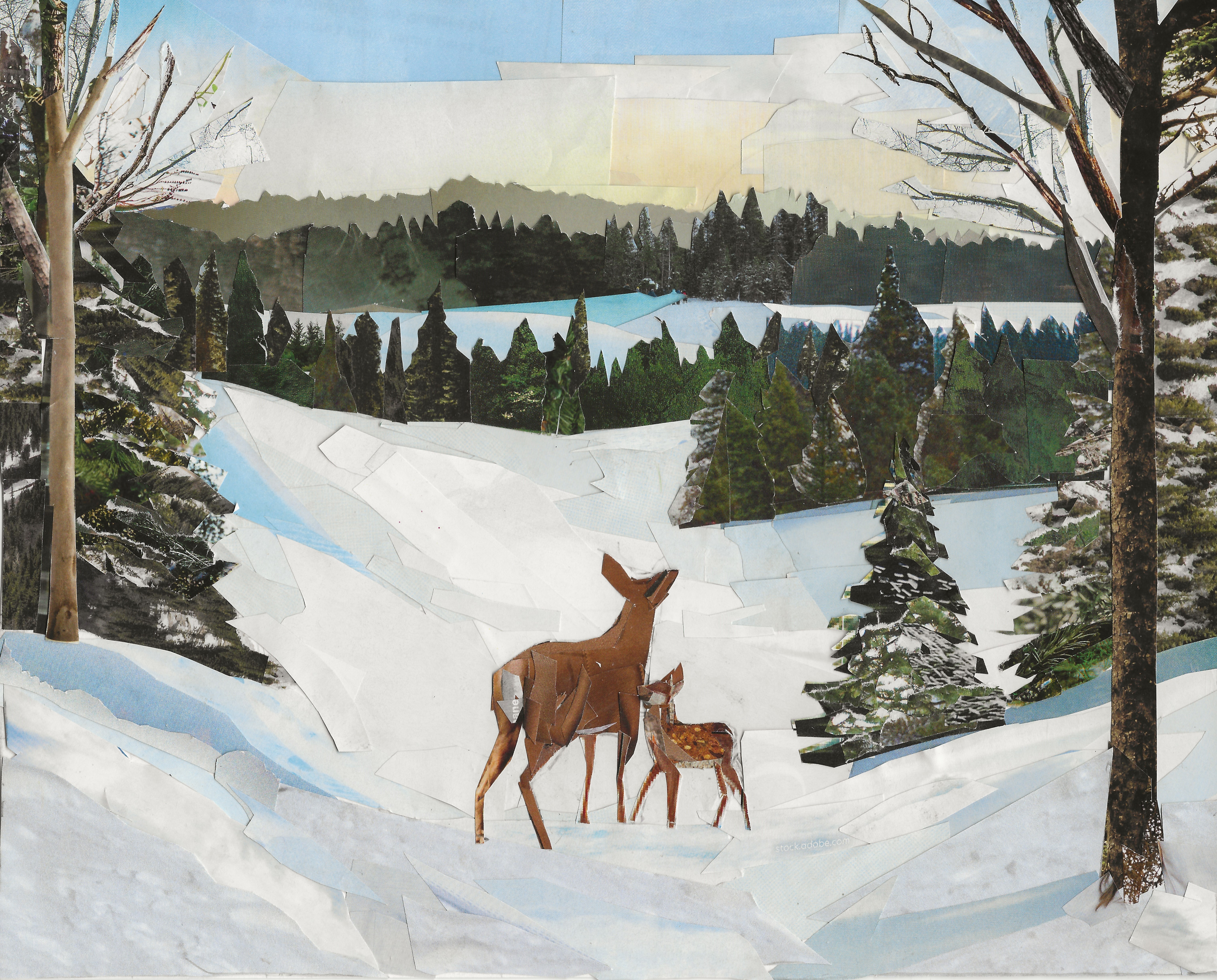 Deer in Winter